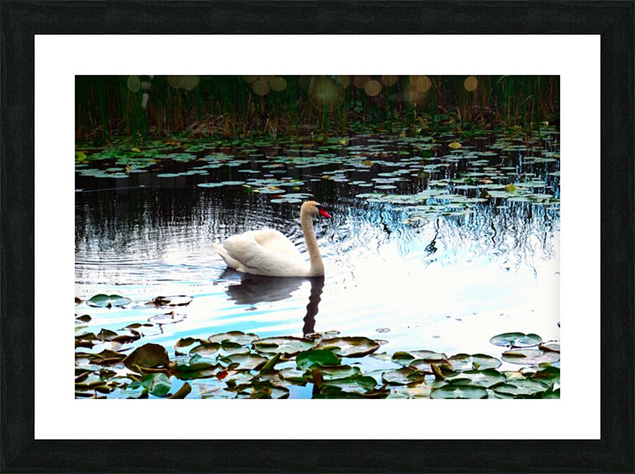 Silent Glide Impression et Cadre photo