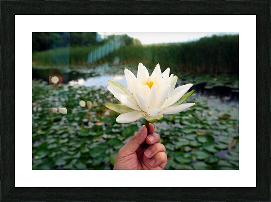 Lifting Beauty Impression et Cadre photo