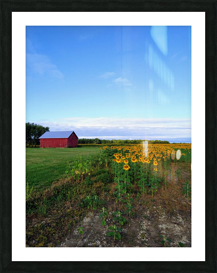 Golden Silence Picture Frame print