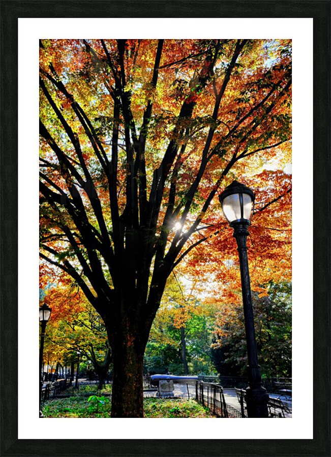 A Stroll in Color Picture Frame print