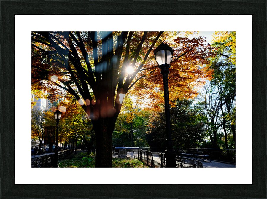 Shades of Autumn Picture Frame print