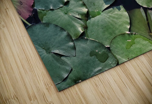 Sunlit Lily Click4Pix puzzle