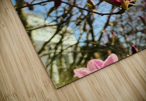 Spring Sun Worshipping Magnolia Click4Pix puzzle