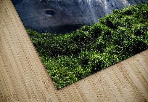 From the Edge: Serenity Meets Momentum at Paterson Great Falls Click4Pix puzzle