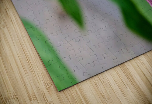 The Bee and the Purple Coneflower Click4Pix puzzle