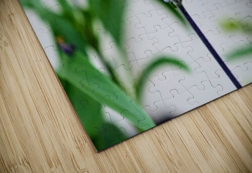 Just A Blue Salvia Buzzing Bee Click4Pix puzzle