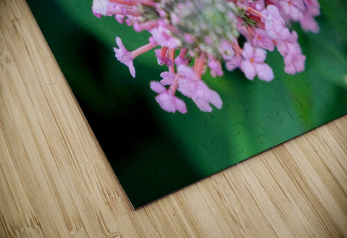 Bee Still on Butterfly Bush Click4Pix puzzle