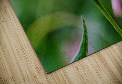 A Bumblebee’s Pause on Coneflower Click4Pix puzzle