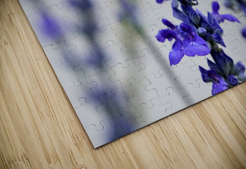 Lavender Towers and the Bee Click4Pix puzzle