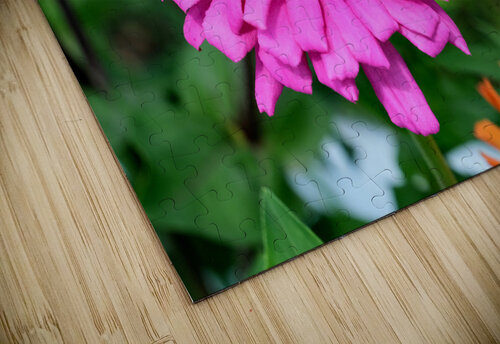 Buzzing Secrets of a Summer Queen Click4Pix puzzle