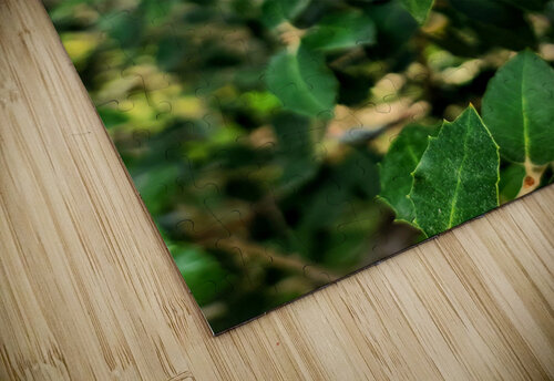 Emergence in Green Click4Pix puzzle