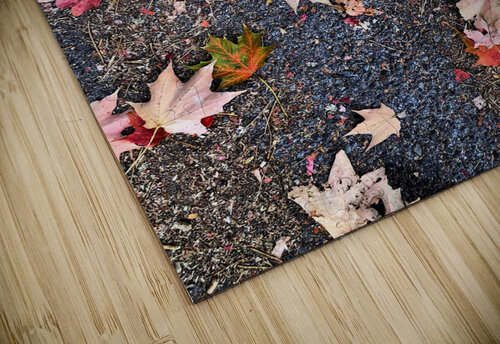 Grounded in Colors: Scattered Beauty Click4Pix puzzle