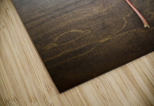 Losing Sight of Fall Click4Pix puzzle