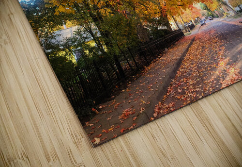 Fall Over the Road Click4Pix puzzle