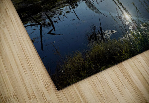 Reflections of La Crosse 2B- Reflecting the brilliance of a new day Click4Pix puzzle