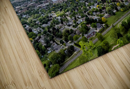 Sky Above Roots Below Click4Pix puzzle