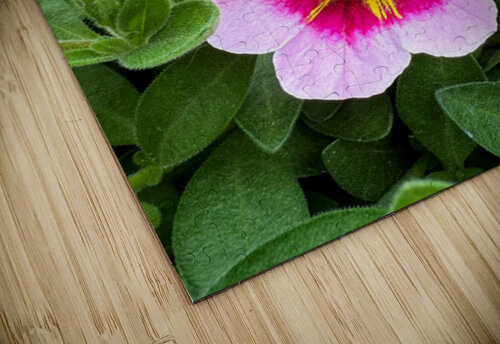 Duet in Full Color Click4Pix puzzle