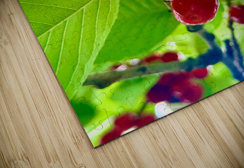 Scarlet Clusters of Abundance Click4Pix puzzle