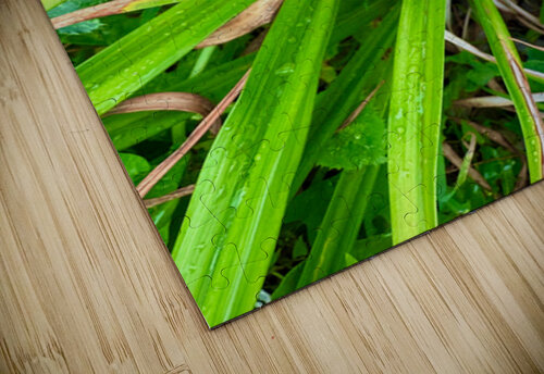 Crimson Flare Click4Pix puzzle