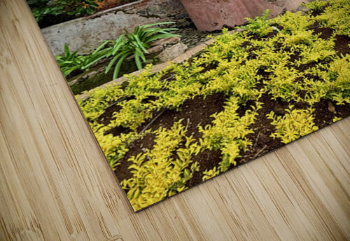 IMG 9960 Click4Pix puzzle