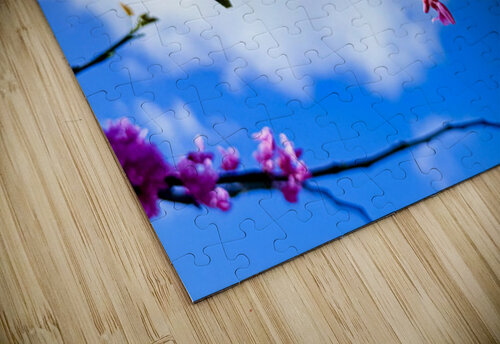 IMG 1702 Click4Pix puzzle