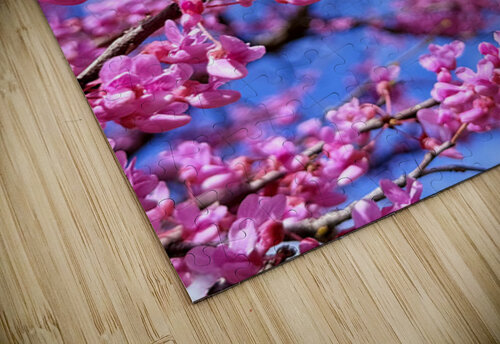 IMG 1577 Click4Pix puzzle