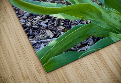 IMG 1613 Click4Pix puzzle