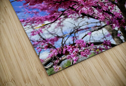  Redbud in Full Glory Click4Pix puzzle