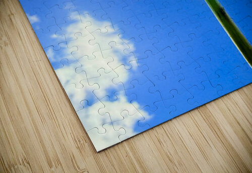 IMG 1762 Click4Pix puzzle