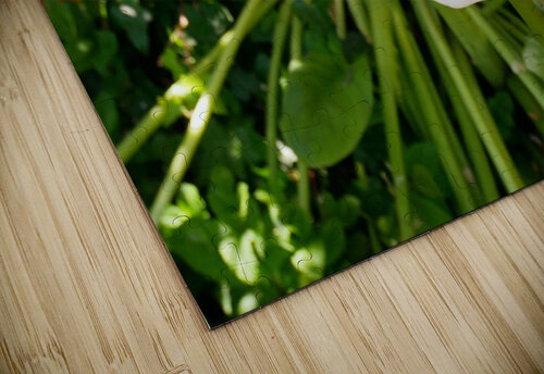 Golden Rod Exposed Click4Pix puzzle