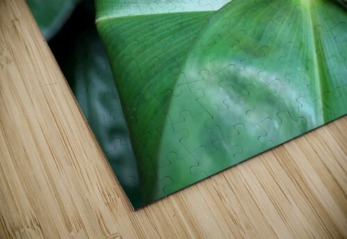 Flower Bud Click4Pix puzzle