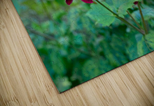 Flower Bloom 5 Click4Pix puzzle