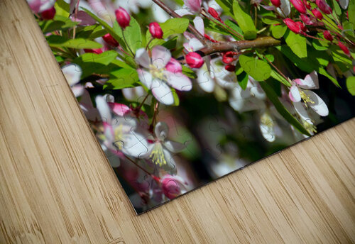 A Berry Cherry Blossom Day to You Click4Pix puzzle