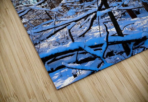 Frozen Limbs 3B Click4Pix puzzle