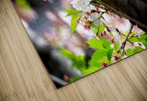 Cherry Blossom 2B Click4Pix puzzle