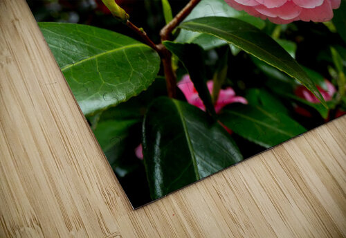 Blooms of Joy 1B Click4Pix puzzle