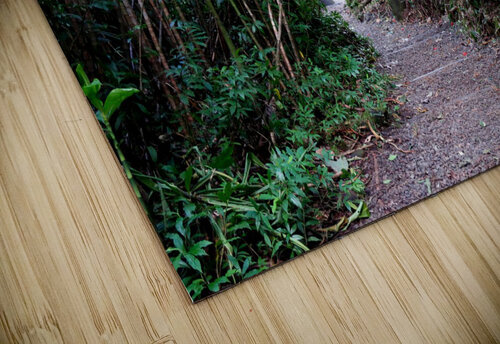 Hiking Hawaii Click4Pix puzzle