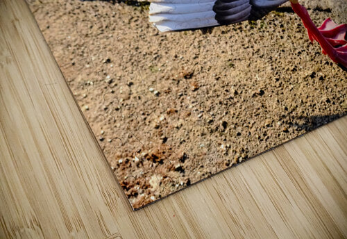 No Selfies Please  Click4Pix puzzle