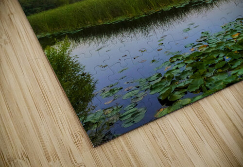 Balloon Over Long Lake Click4Pix puzzle