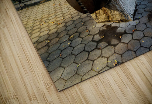 Parkside Cannon Click4Pix puzzle