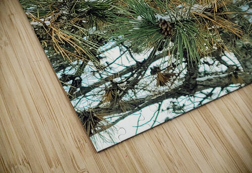 Winter Pinescape Click4Pix puzzle