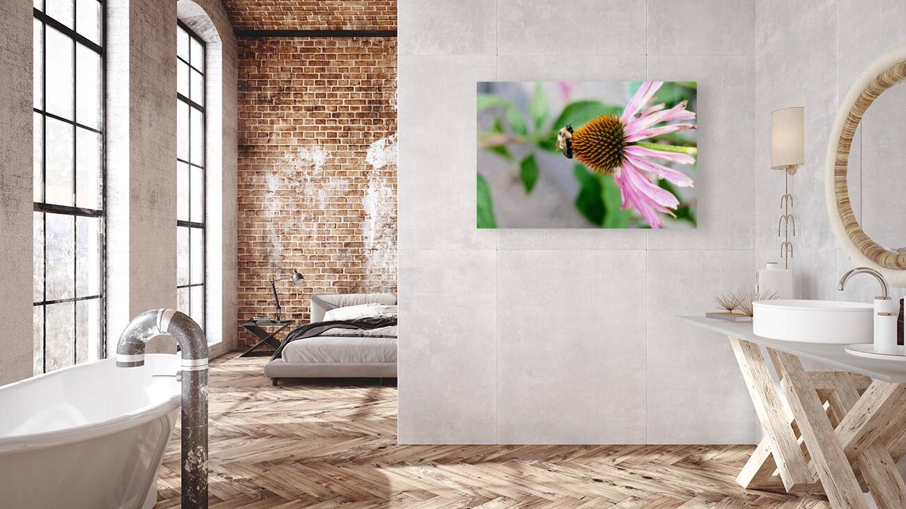The Bee and the Purple Coneflower Reproduction