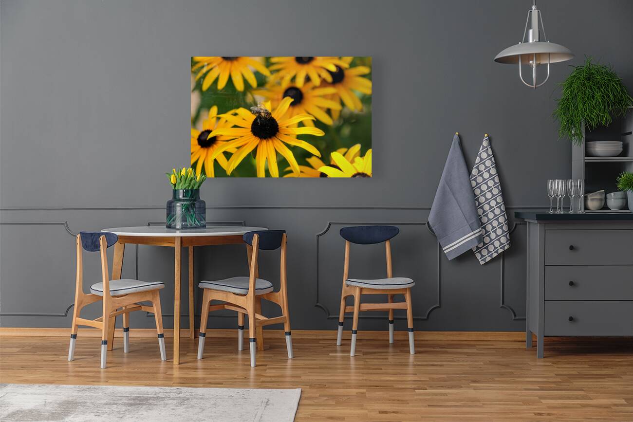 Bee A Black-Eyed Susan Secret Guest Reproduction