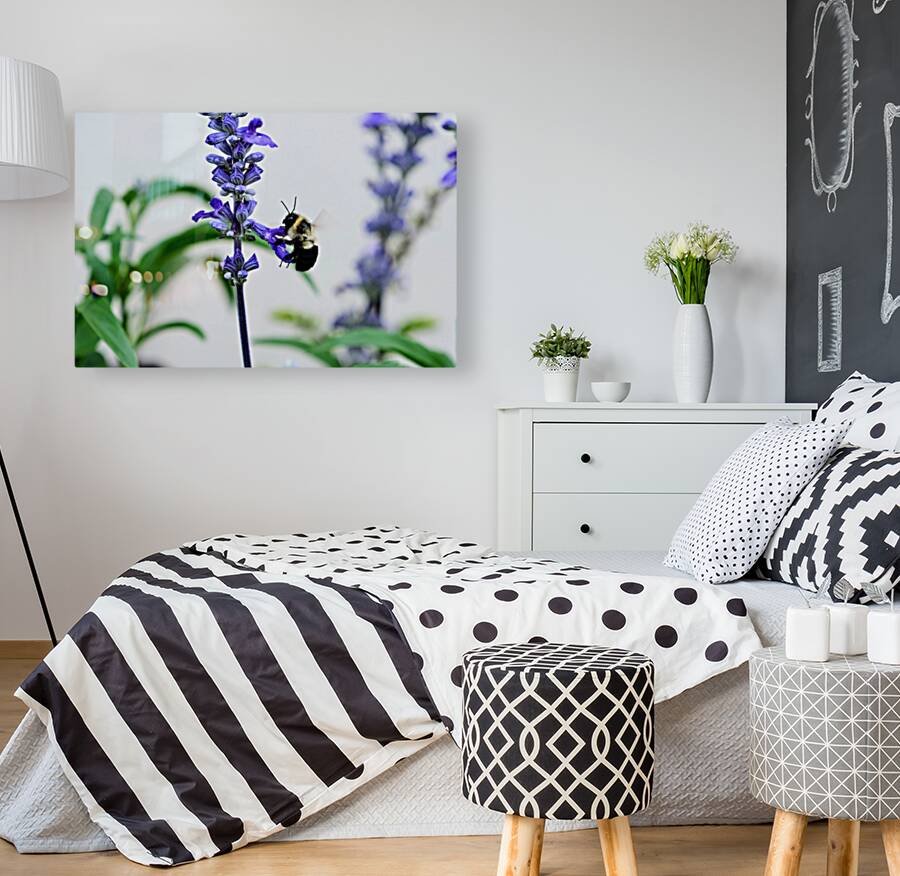 Just A Blue Salvia Buzzing Bee Reproduction