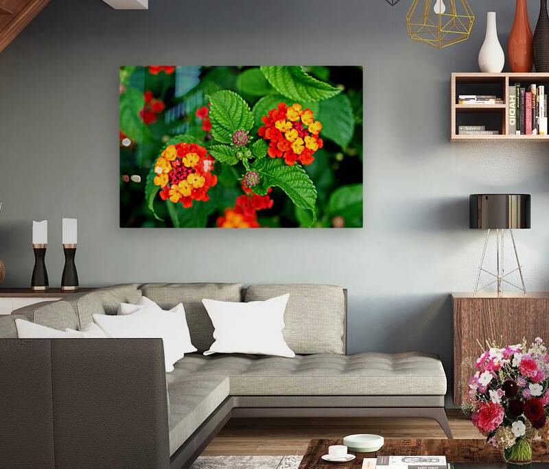 Color that Heals: The Medicinal Heart of Lantana Camara Reproduction