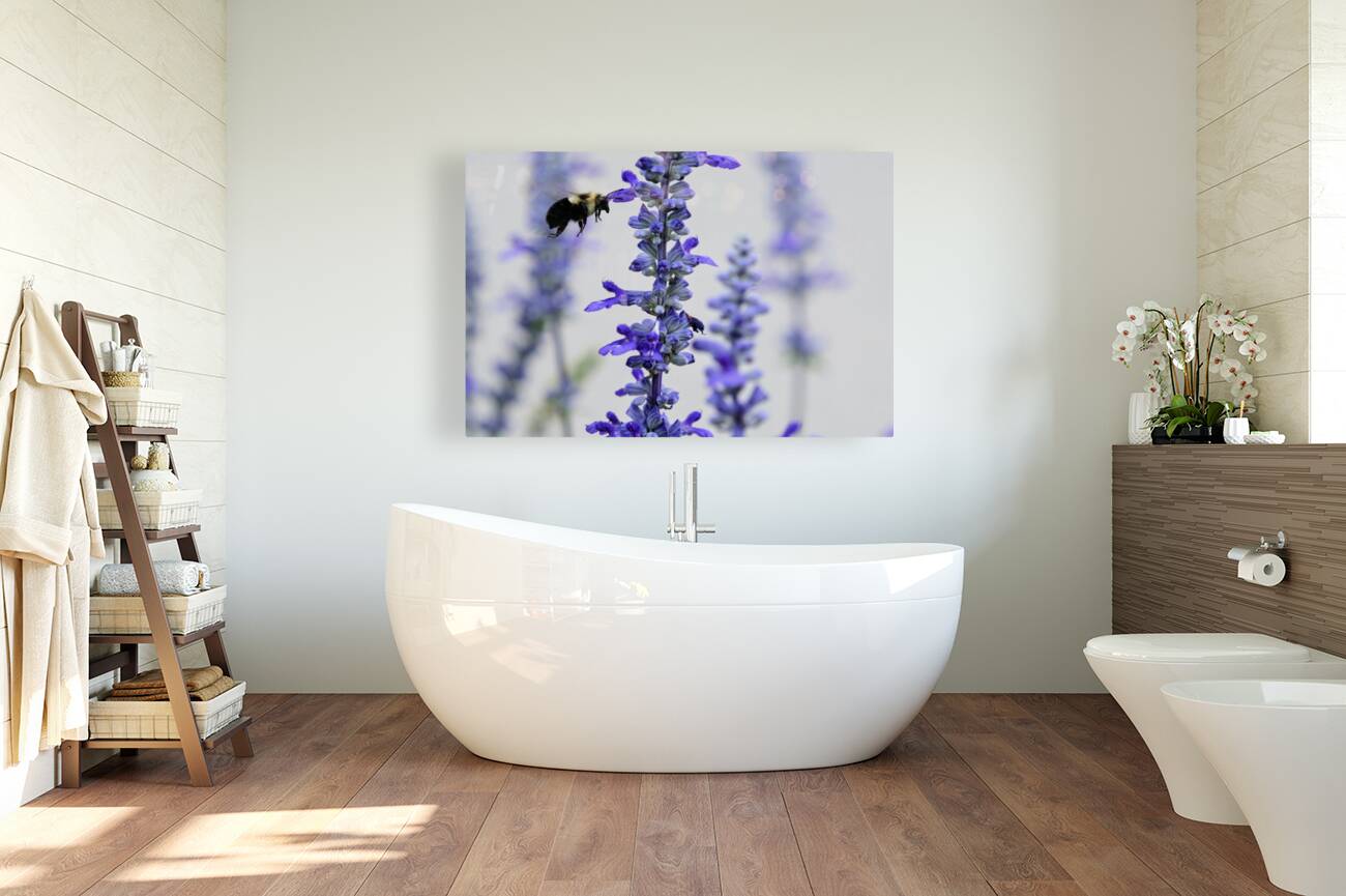 Salvia Bloom & the Pollinator Reproduction