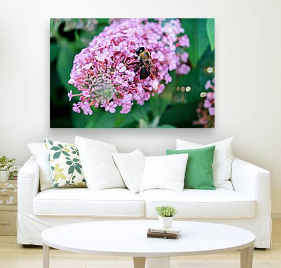 Bee Still on Butterfly Bush Reproduction