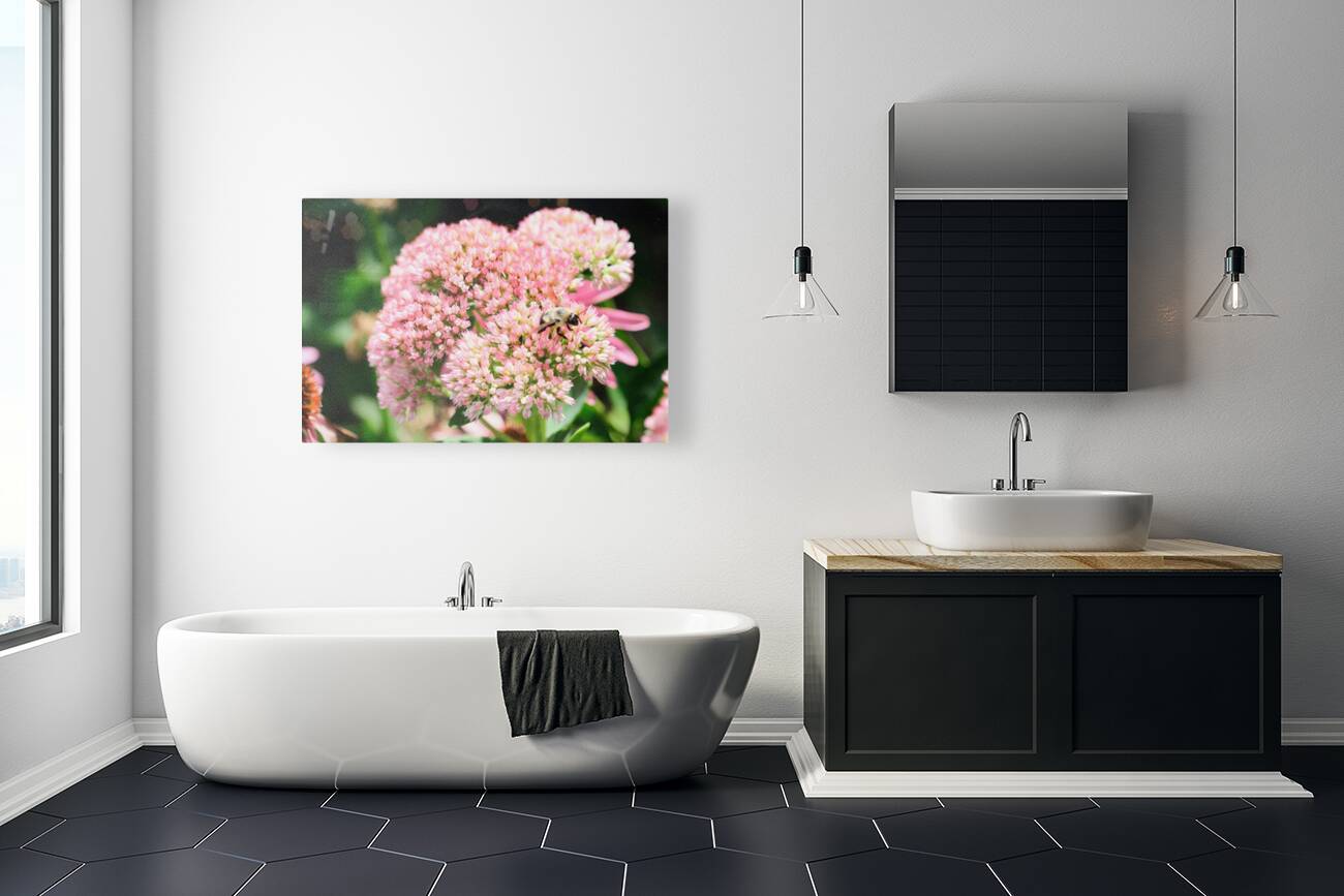  Sedum and the Messenger of Life Reproduction