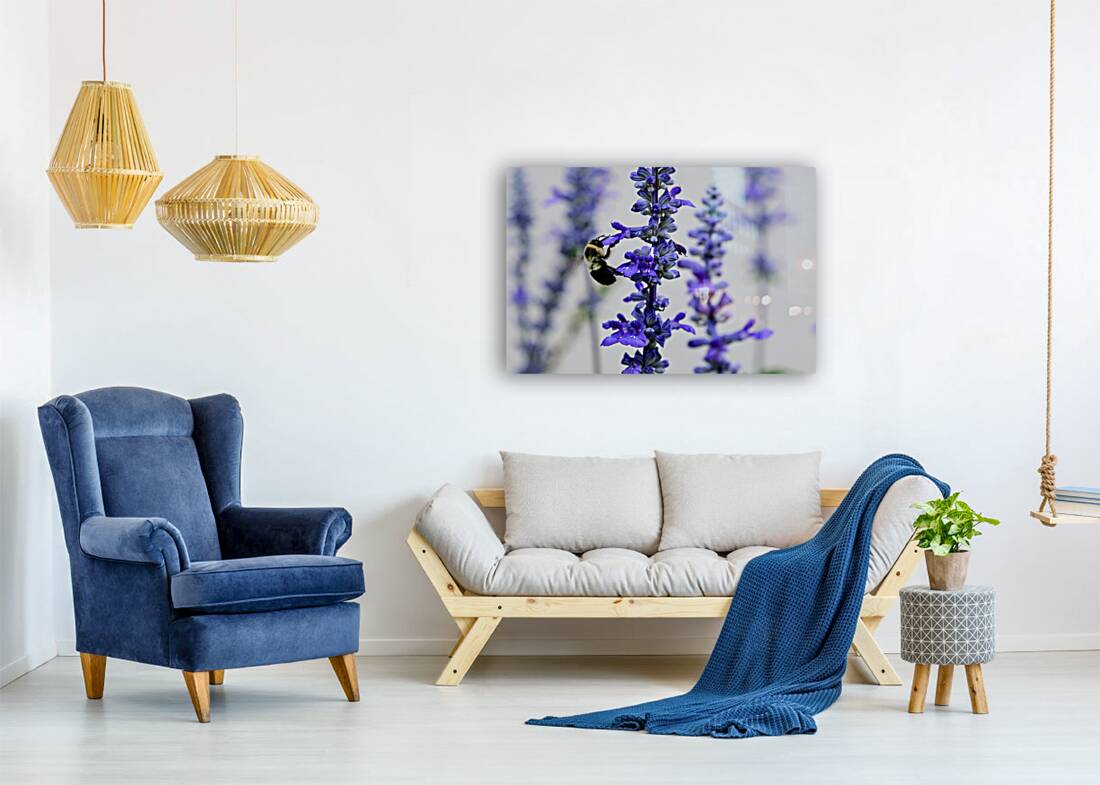 Lavender Towers and the Bee Reproduction