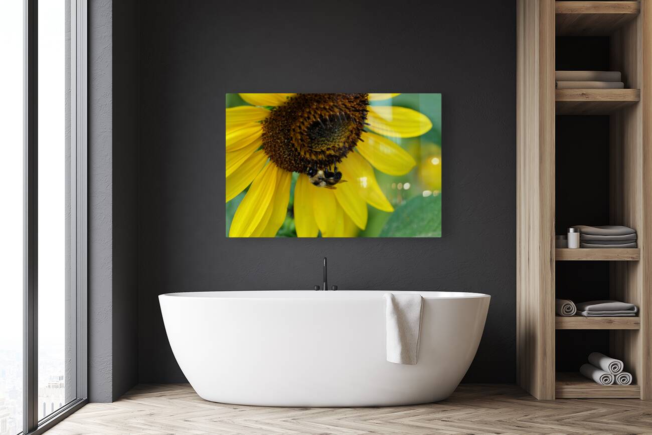 Bee Under the Sunflower:  The Architect of Harvest Reproduction